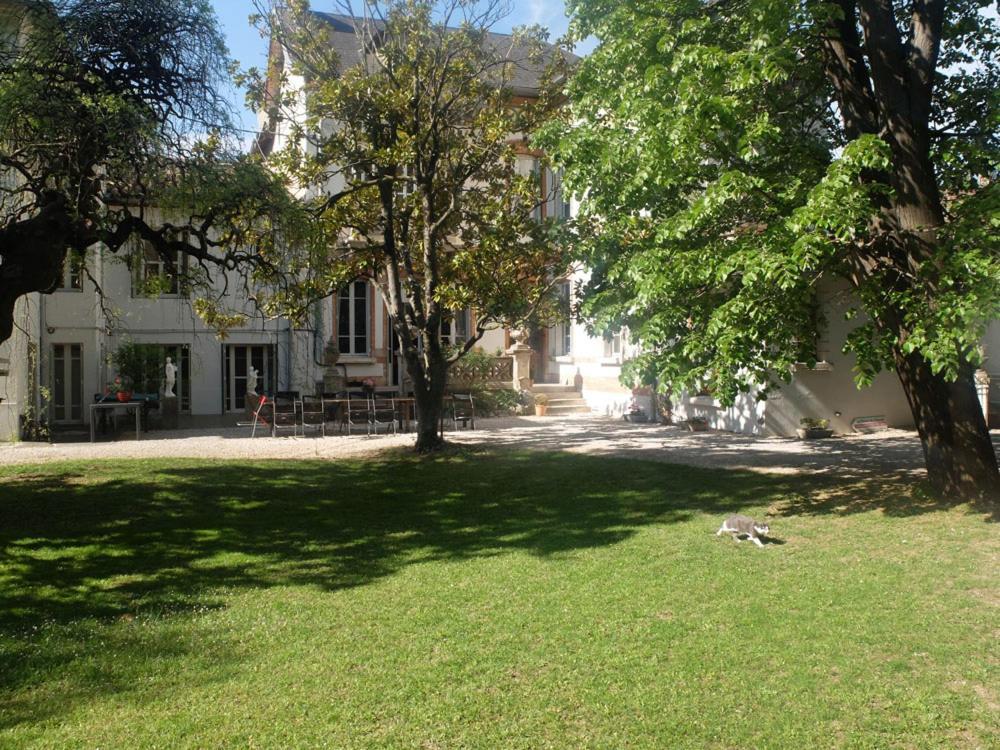 La Maison D'Hotes Du Chapelier Espéraza Eksteriør billede